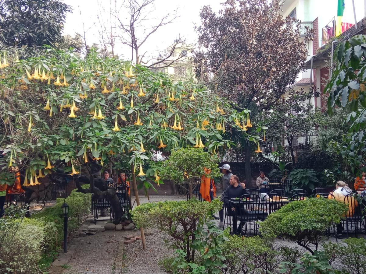 Hotel Lotus Garden Κατμαντού Εξωτερικό φωτογραφία